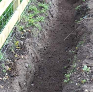 Trench dug for hedging plants